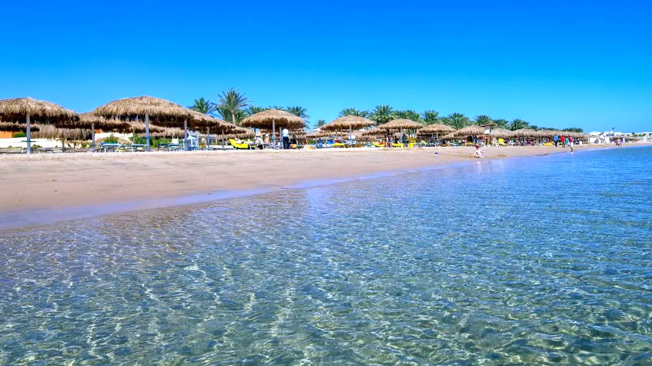 الفندق كاريبيان وورلد - سوما باي